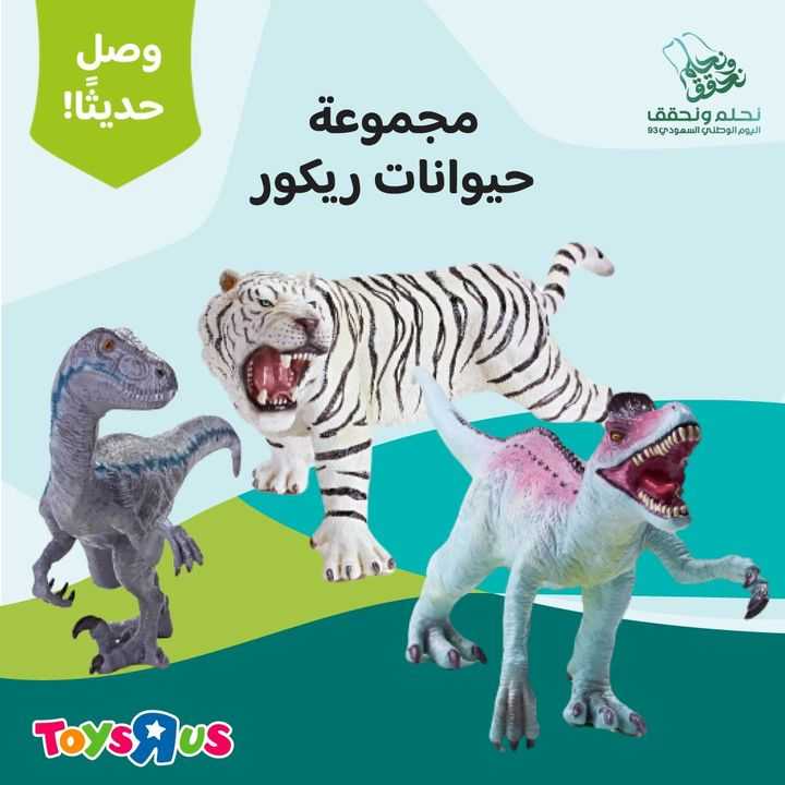 Sale in Toyrus